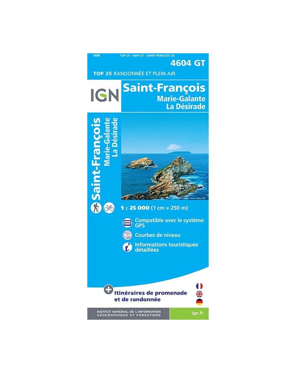 Carte IGN Saint-François 4604GT