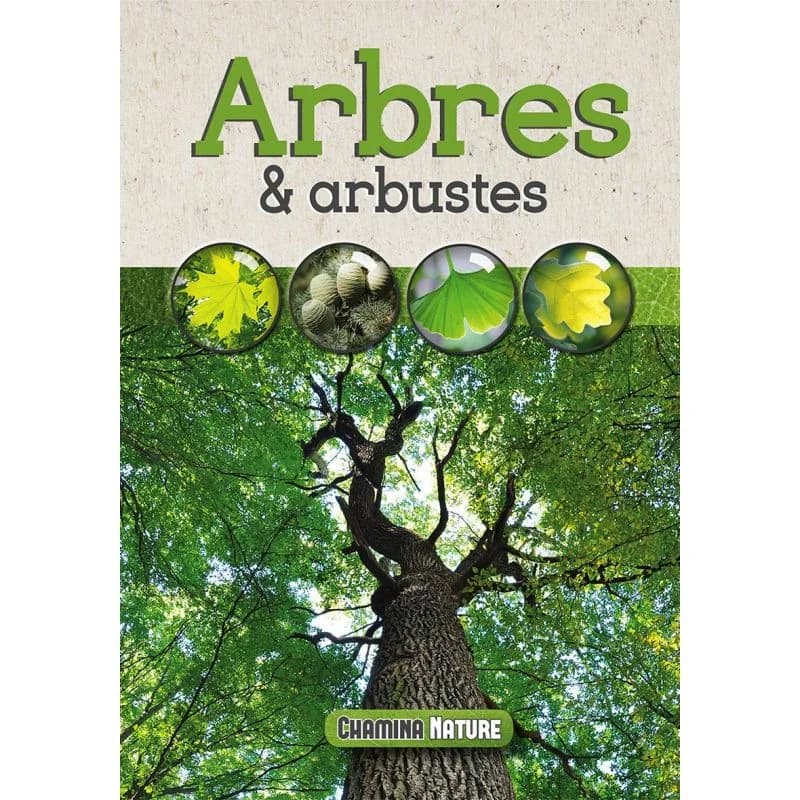 Arbres & arbustes – Chamina