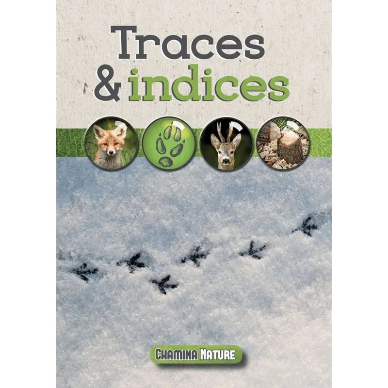 Traces & indices – Chamina