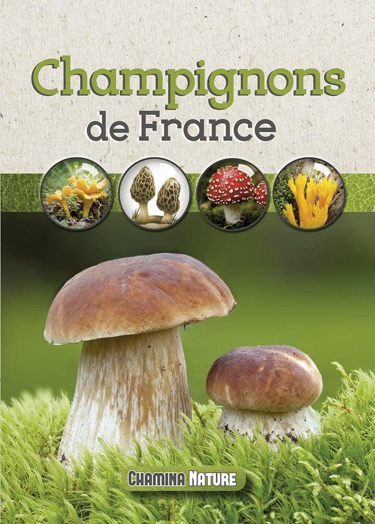 Champignons De France — recto