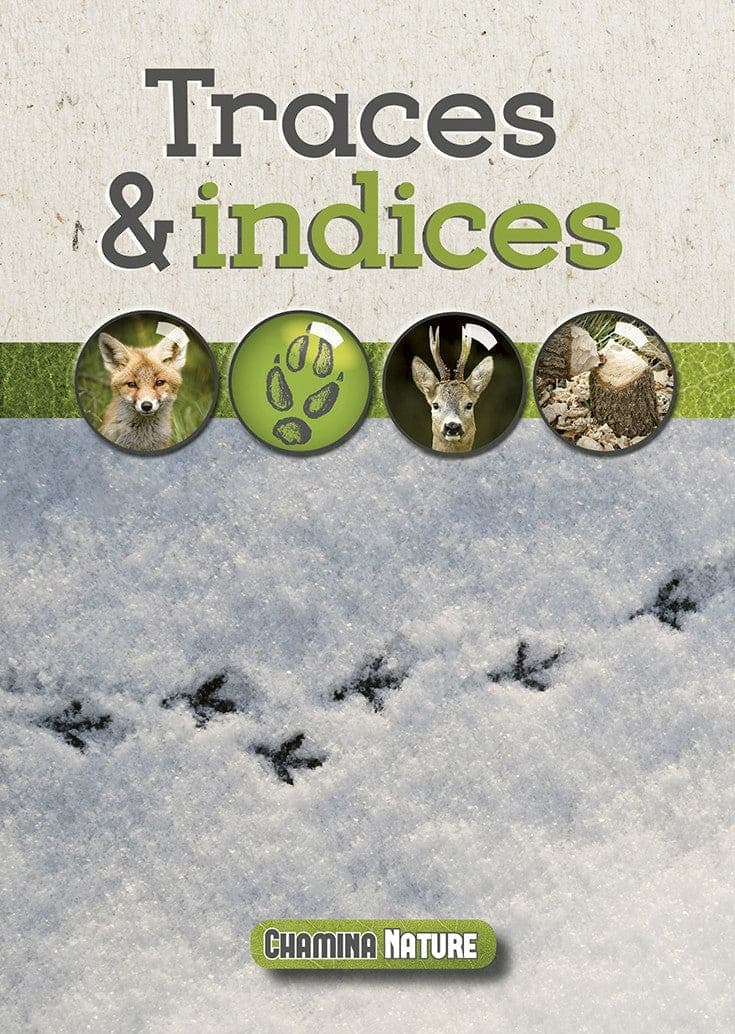 Traces & Indices — recto