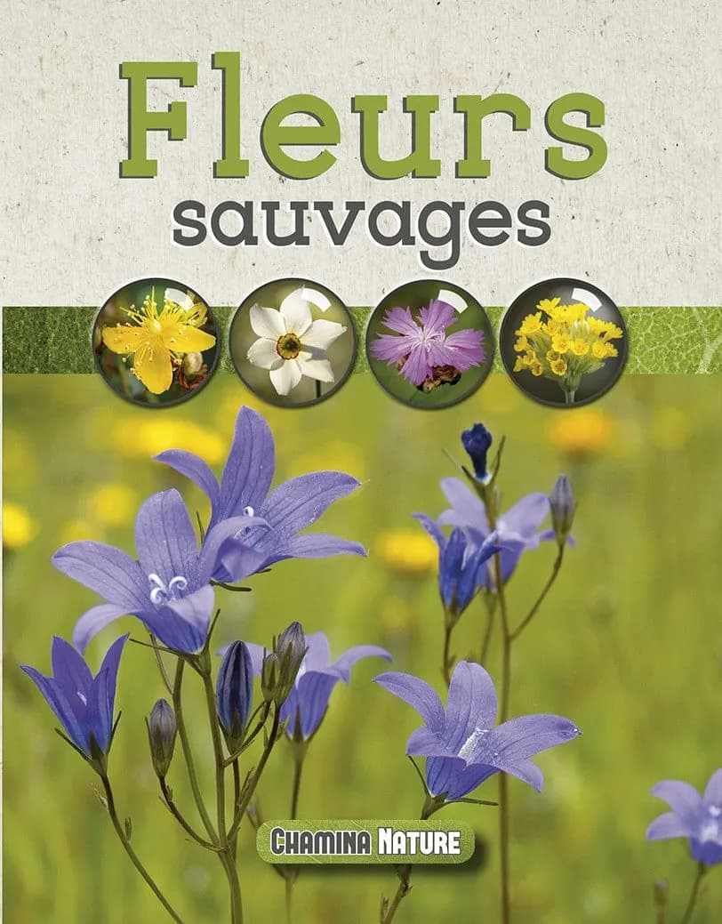 Fleurs Sauvages — recto