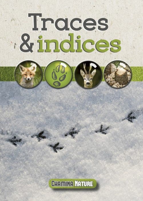 Traces & Indices